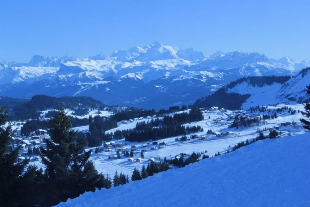 Bel App Aux Gets 10Mn Centre Ski Parking Tennis Prive Les Gets Eksteriør bilde